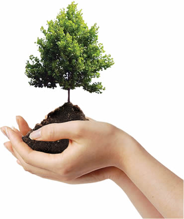 Plantar